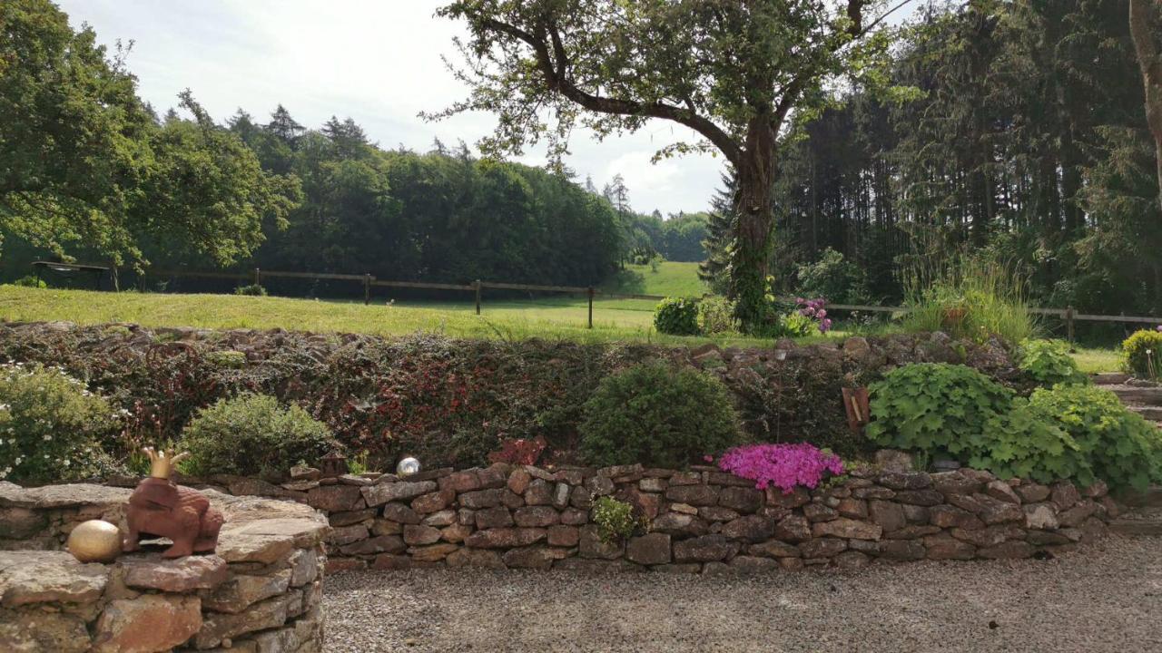 Ferienhaus Vulkaneifel Landhaus Loogh Kerpen  外观 照片