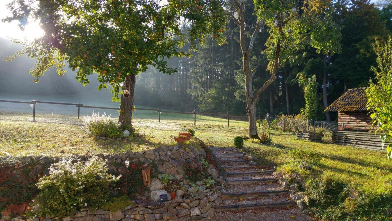 Ferienhaus Vulkaneifel Landhaus Loogh Kerpen  外观 照片