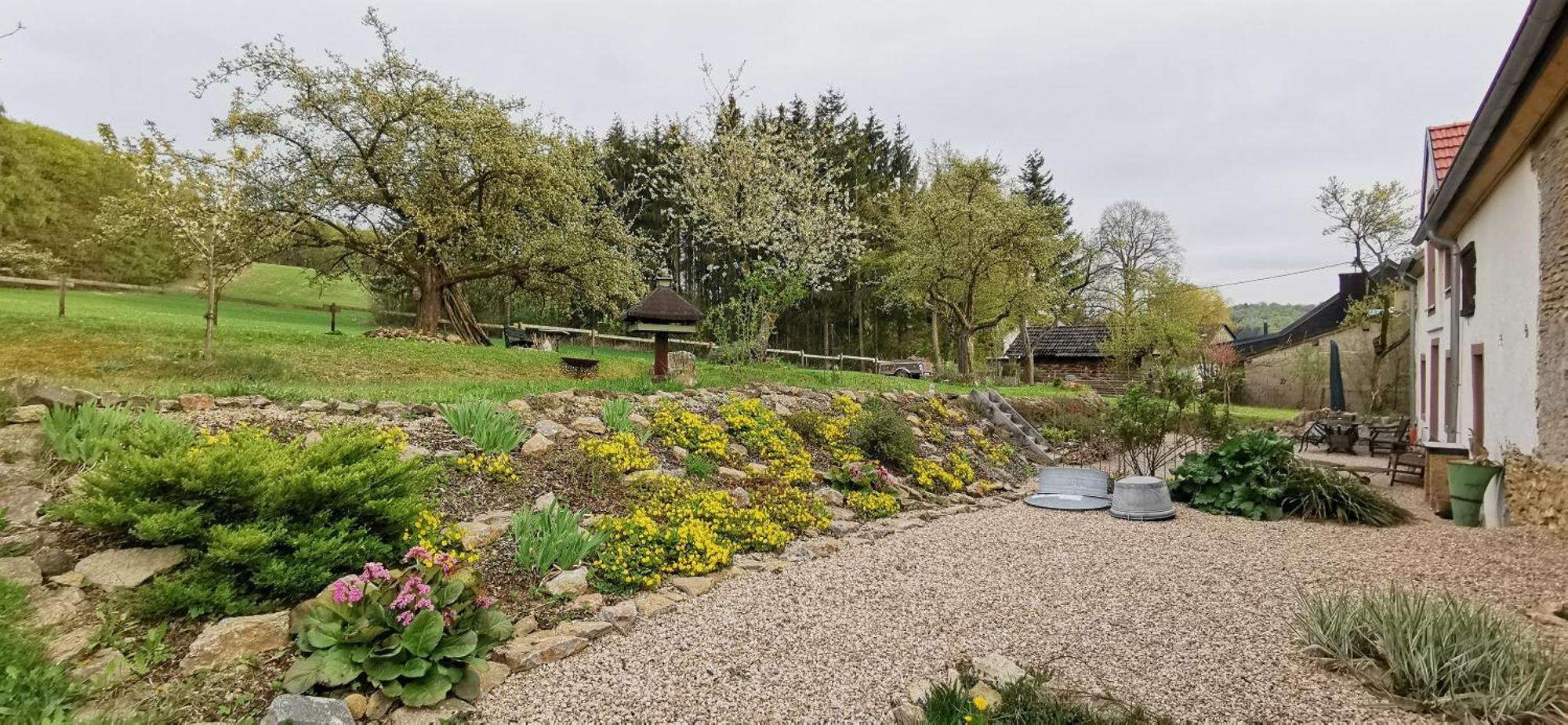 Ferienhaus Vulkaneifel Landhaus Loogh Kerpen  外观 照片