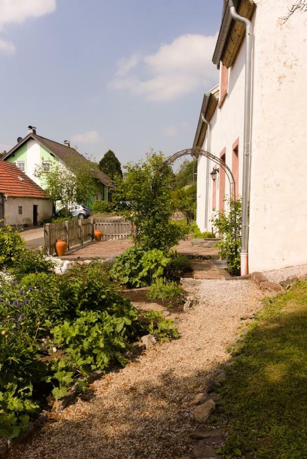 Ferienhaus Vulkaneifel Landhaus Loogh Kerpen  外观 照片