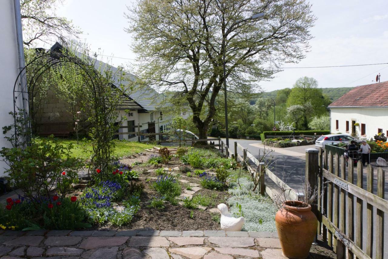 Ferienhaus Vulkaneifel Landhaus Loogh Kerpen  外观 照片