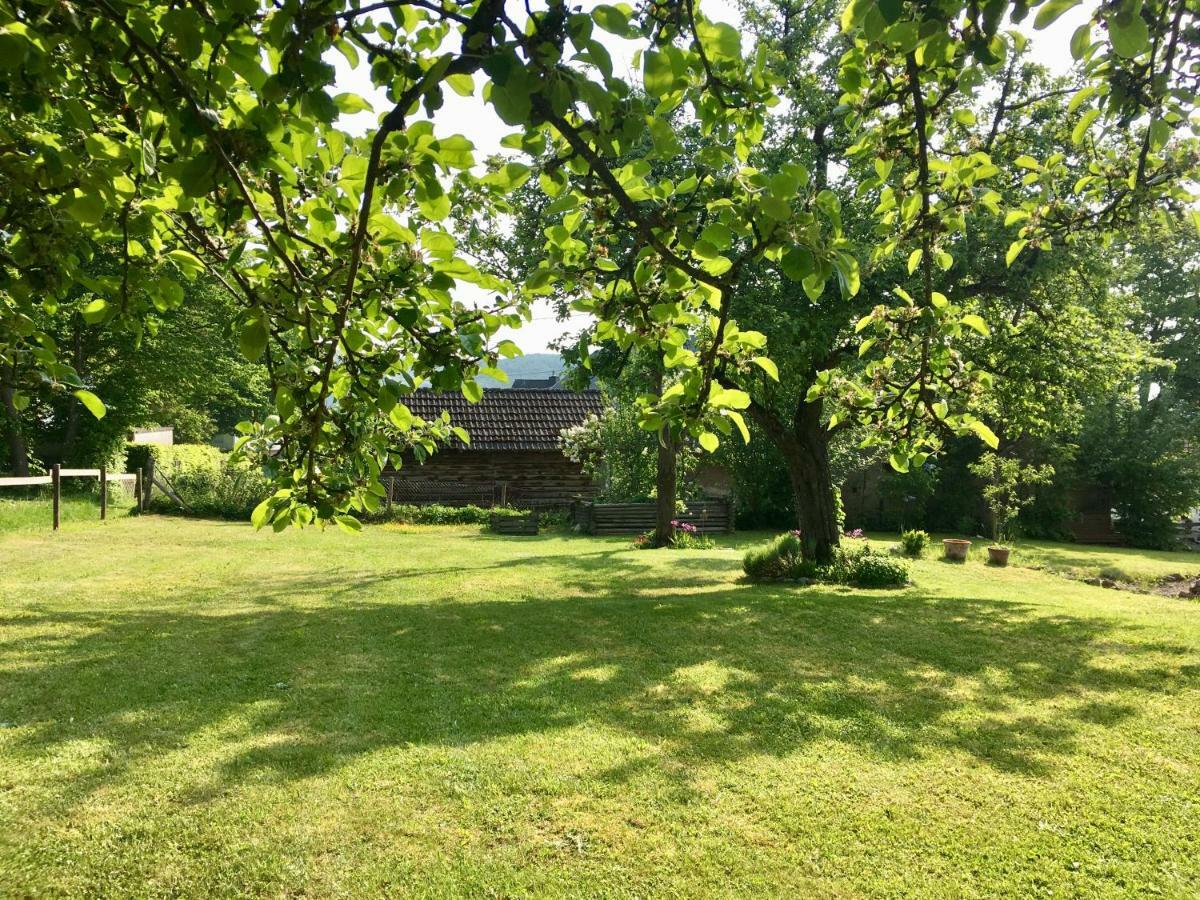Ferienhaus Vulkaneifel Landhaus Loogh Kerpen  外观 照片