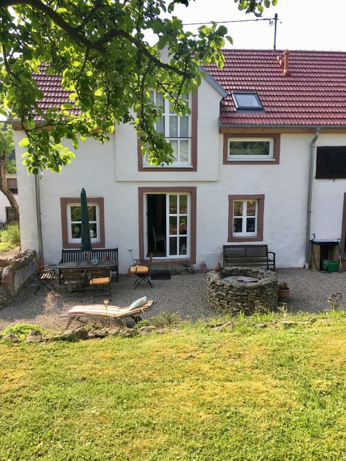 Ferienhaus Vulkaneifel Landhaus Loogh Kerpen  外观 照片