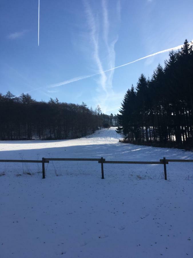 Ferienhaus Vulkaneifel Landhaus Loogh Kerpen  外观 照片